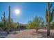 Desert property featuring landscaped backyard, covered patio and in-ground pool at 29399 N 67Th Way, Scottsdale, AZ 85266