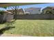 Spacious backyard with green grass, sprinkler system, and privacy fence, perfect for outdoor activities at 3533 E Harwell Rd, Gilbert, AZ 85234