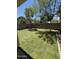 Well-manicured backyard featuring a lush green lawn, mature trees, and a block wall providing privacy at 3533 E Harwell Rd, Gilbert, AZ 85234