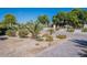 Front yard landscaped with mature palm trees, gravel and a paved driveway at 6378 S 154Th St, Gilbert, AZ 85298