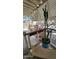Charming patio detail showcasing decorative plants, lattice accents, and inviting outdoor ambiance at 11411 N 91St Ave # 48, Peoria, AZ 85345