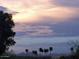 Scenic sunset view highlighting the tranquil neighborhood at 16657 E Gunsight Dr # 182, Fountain Hills, AZ 85268