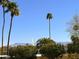 Community fountain and palm tree view from the property at 16657 E Gunsight Dr # 182, Fountain Hills, AZ 85268