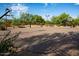 Outdoor basketball court offers recreation space surrounded by mature trees at 3935 E Rough Rider Rd # 1368, Phoenix, AZ 85050