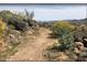 Scenic view of a hiking trail with rocks, desert foliage, and glimpses of the neighborhood at 5032 W Yearling Rd, Phoenix, AZ 85083