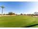 Golf course with green grass, a palm tree, and clear blue skies, ideal for outdoor recreation at 10511 W Wheatridge Dr, Sun City, AZ 85373