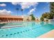 Inviting swimming pool with clear blue water, surrounded by lounge chairs and palm trees under a sunny sky at 10511 W Wheatridge Dr, Sun City, AZ 85373