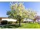 Expansive green lawn with blooming tree and well-maintained landscaping in a park-like setting at 10511 W Wheatridge Dr, Sun City, AZ 85373