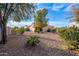 Large backyard featuring desert landscaping and mature trees providing shade at 11955 W Granada Rd, Avondale, AZ 85392