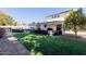 Sprawling backyard featuring an outdoor kitchen, dining area, and manicured lawn at 12236 N 59Th St, Scottsdale, AZ 85254