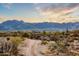 Desert landscape featuring native vegetation and a winding dirt road, with mountains in the background at 13502 E Jomax Rd, Scottsdale, AZ 85262