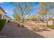 View of the desert landscaping and community from the side yard at 336 N Monterey Ct, Casa Grande, AZ 85194