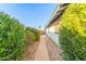 Landscaped side yard with lush greenery and a paved walkway at 3531 E Becker Ln, Phoenix, AZ 85028