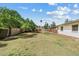 Expansive backyard with lush lawn, mature trees, and recreational volleyball/badminton net at 11420 N 50Th St, Scottsdale, AZ 85254
