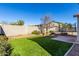 Backyard with manicured lawn, block wall and mature landscaping at 11554 W Lone Tree Trl, Peoria, AZ 85383