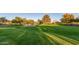 Well-maintained green space, perfect for picnics, outdoor activities, and enjoying nature at 11554 W Lone Tree Trl, Peoria, AZ 85383