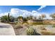 Scenic water feature with cascading waterfall and lush desert landscaping at 11554 W Lone Tree Trl, Peoria, AZ 85383