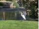 Picturesque view of the pond featuring an egret near lush greenery and a water feature at 1321 W Shellfish Dr, Gilbert, AZ 85233