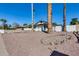 Expansive front yard featuring mature palm trees and desert landscaping, offering serene curb appeal at 1716 W Butler Dr, Phoenix, AZ 85021