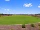 Vast green open space for community events and recreation with sidewalks and drought-resistant landscaping at 17683 W Odeum Ln, Goodyear, AZ 85338