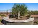 Outdoor area showcasing an attractive water feature in a landscaped backyard at 18961 N 259Th Ave, Buckeye, AZ 85396