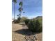 Well-maintained desert landscaping features palm trees, various desert plants and rock drainage detail at 19453 N Star Ridge Dr, Sun City West, AZ 85375