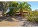 Backyard with a covered patio area, desert landscaping, and a mature palm tree at 19824 N Valencia Ct, Surprise, AZ 85374