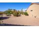 View of a landscaped backyard with desert vegetation, rock ground cover, and a house facade at 19824 N Valencia Ct, Surprise, AZ 85374