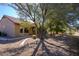 Inviting front yard featuring a large tree and desert landscaping at 19824 N Valencia Ct, Surprise, AZ 85374