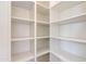 Walk-in pantry with multiple white shelves for organized storage and provisions at 24548 N 121St Pl, Scottsdale, AZ 85255