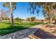 Community green space with a sidewalk, trees, and covered playground in the distance at 36284 W San Clemente Ave, Maricopa, AZ 85138