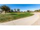 Expansive green community park featuring a walking path with mature trees and open space for outdoor activities and recreation at 36284 W San Clemente Ave, Maricopa, AZ 85138