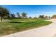 Expansive green community park featuring a walking path with mature trees and open space for outdoor activities and recreation at 36284 W San Clemente Ave, Maricopa, AZ 85138