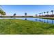 Scenic view of a community pond with lush green grass and towering palm trees lining the street at 36284 W San Clemente Ave, Maricopa, AZ 85138
