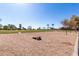 Community recreation area with a sand pit, cornhole platform, and grassy field at 36284 W San Clemente Ave, Maricopa, AZ 85138