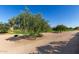 Scenic golf course view with mature trees and meticulously maintained green lawns under a bright blue sky at 6129 S White Pl, Chandler, AZ 85249
