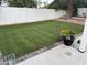 Beautiful backyard featuring newly laid sod, a white fence, and decorative flower pot at 10360 N 98Th St, Scottsdale, AZ 85258