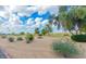 A view of the community with green grass, mature landscaping and a blue sky filled with clouds at 10822 W Mimosa Dr, Sun City, AZ 85373