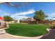 Expansive backyard featuring lush green lawn and privacy wall at 11445 S 44Th St, Phoenix, AZ 85044