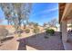 Lush xeriscaped backyard with trees and plants, creating a private and tranquil outdoor oasis at 127 S Hancock Trl, Casa Grande, AZ 85194