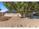 Welcoming single-story brick home featuring a large shade tree, xeriscaping, and a covered entrance at 2136 W Sharon Ave, Phoenix, AZ 85029