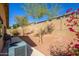 Beautiful backyard with a desert landscape, mature trees, and a privacy wall at 23836 W Jefferson St, Buckeye, AZ 85396