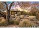 Outdoor space featuring a patio pergola amid lush desert landscaping against a scenic sunset backdrop at 25002 N Quail Haven Dr, Rio Verde, AZ 85263