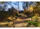 An inviting backyard with desert landscaping, featuring a pathway and subtle lighting at 25002 N Quail Haven Dr, Rio Verde, AZ 85263