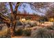 Backyard fire pit and seating area amid desert landscaping under a pergola, perfect for evening gatherings at 25002 N Quail Haven Dr, Rio Verde, AZ 85263