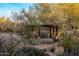 Lush desert garden with a wooden pergola nestled among trees, bushes, and varied desert plants at 25002 N Quail Haven Dr, Rio Verde, AZ 85263