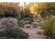 Desert garden view of a stone bench surrounded by native desert plants and a pathway with small stones at 25002 N Quail Haven Dr, Rio Verde, AZ 85263