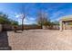 Spacious gravel backyard featuring desert landscaping and mature trees, offering privacy and natural beauty at 2525 E Misty Willow Ln, Phoenix, AZ 85024