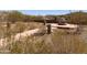 Desert landscaped backyard featuring a stone fire pit and arid plants at 27575 N Dolores Pl, San Tan Valley, AZ 85144