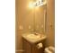 Bathroom featuring a sink with a mirror, a toilet, and neutral walls at 27575 N Dolores Pl, San Tan Valley, AZ 85144